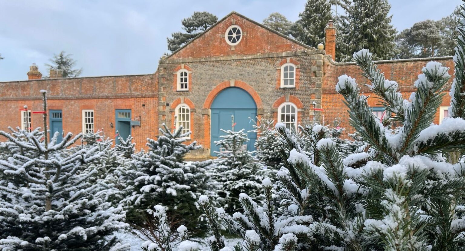 Claydon Courtyard The Perfect Place to Buy Your Christmas Tree