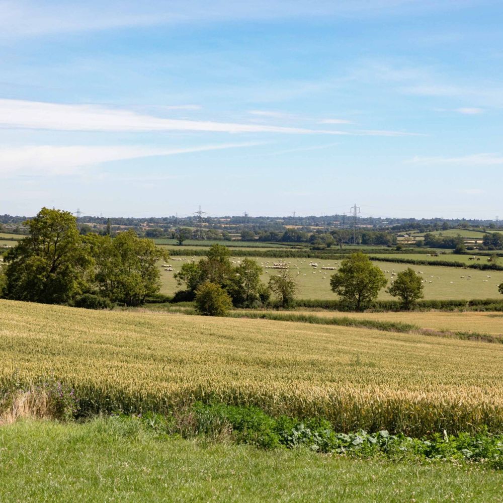 Becoming a member of the Countryside Stewardship SchemeImage 2