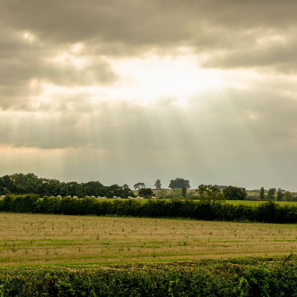 Becoming a member of the Countryside Stewardship SchemeImage 4