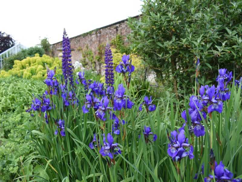 Four reasons to have your company event outdoors.Banner