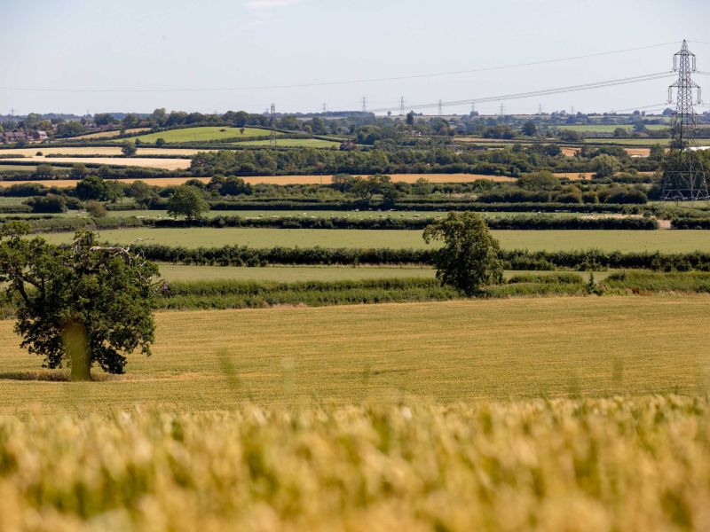 Becoming a member of the Countryside Stewardship SchemeBanner