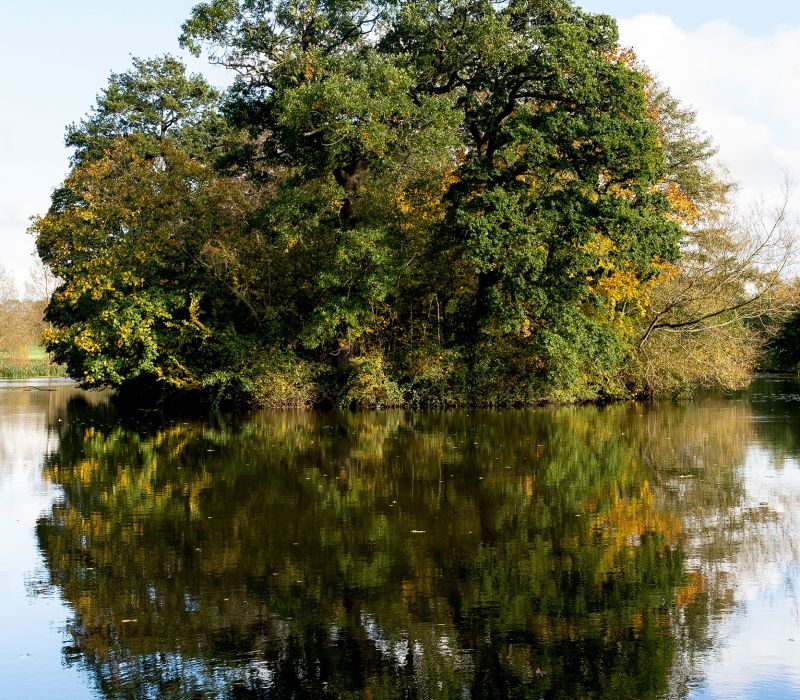 Lake Reflection Picture